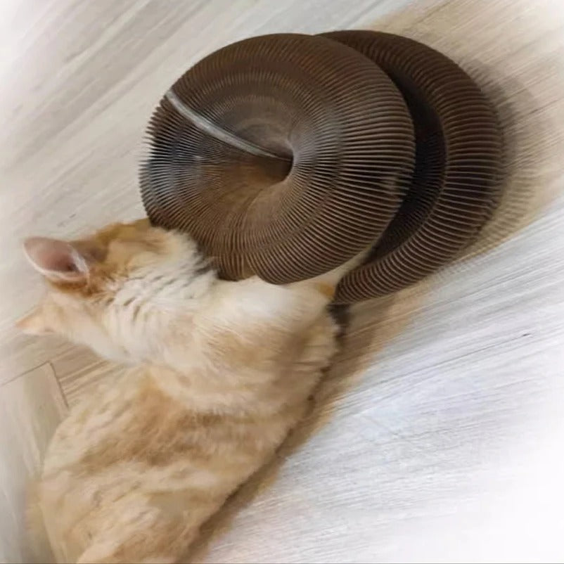 GIROMICIO - GIOCO INNOVATIVO PER GATTI